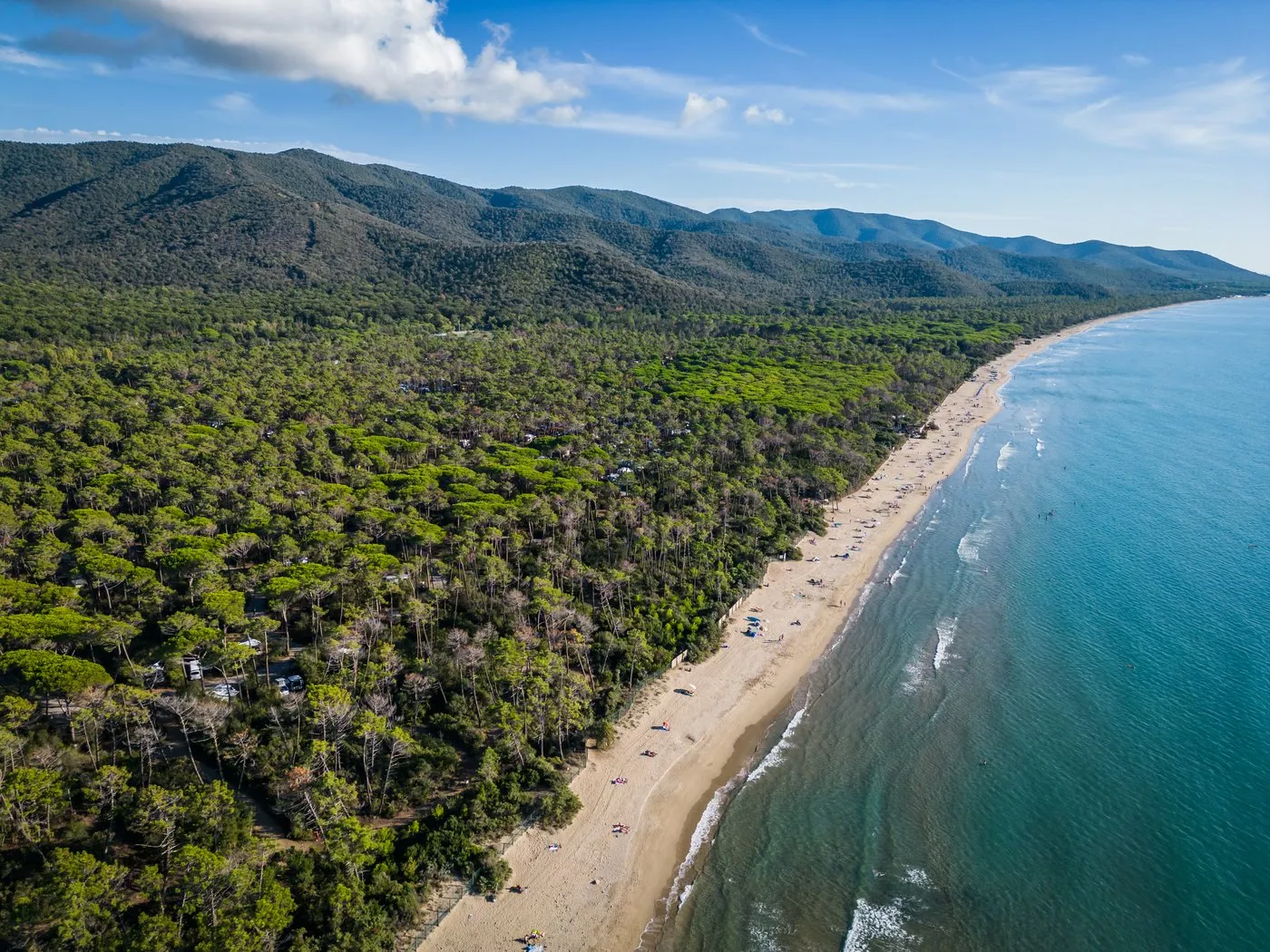 Pine forest running down to the beach on the Maremma coast near Punta Ala, seen from above